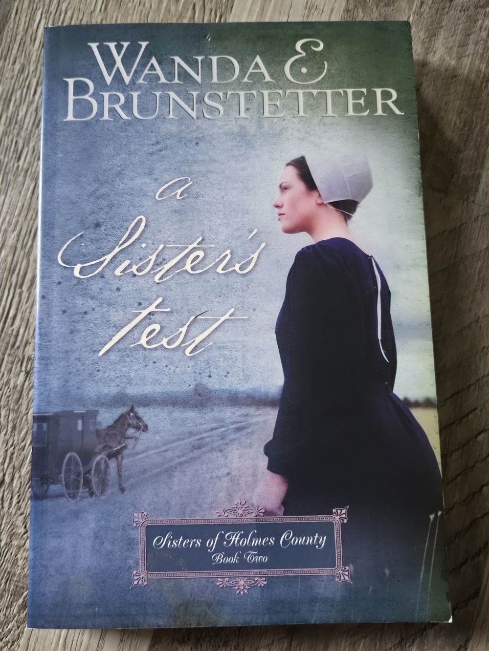 Wanda E Brunstetter Amish Fiction Book Lot Sisters of Holmes County Series 4pc - Picture 3 of 16
